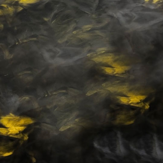 flake epoxy Houston, TX, US